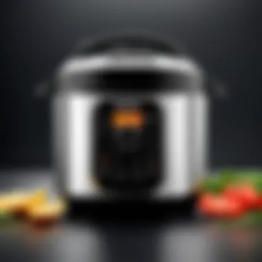 Magnificent A Comprehensive Guide to the Instant Pot 6 in 1 Pressure Cooker