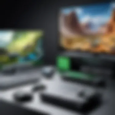 Future-Proofing and Software Landscape Future-proofing and software offerings of the Xbox