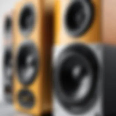 Diverse Connectivity Options for Enhanced Usability Various connectivity options available on a bookshelf speaker system