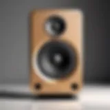 Elegant bookshelf speaker system showcasing modern design and functionality