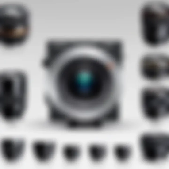 Notable Comprehensive Guide to Sony Alpha A6100 Lenses