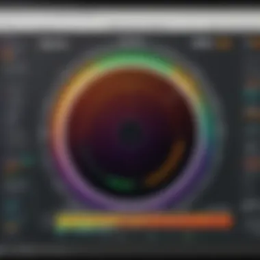 Software Interface for Color Adjustments Detailed view of the software interface used with the SpyderX Elite for color adjustments.