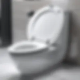 Stylish design of the Eljer New Emblem Toilet Seat