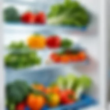 Environmental Considerations Environmental impact of using refrigerator bags for vegetables
