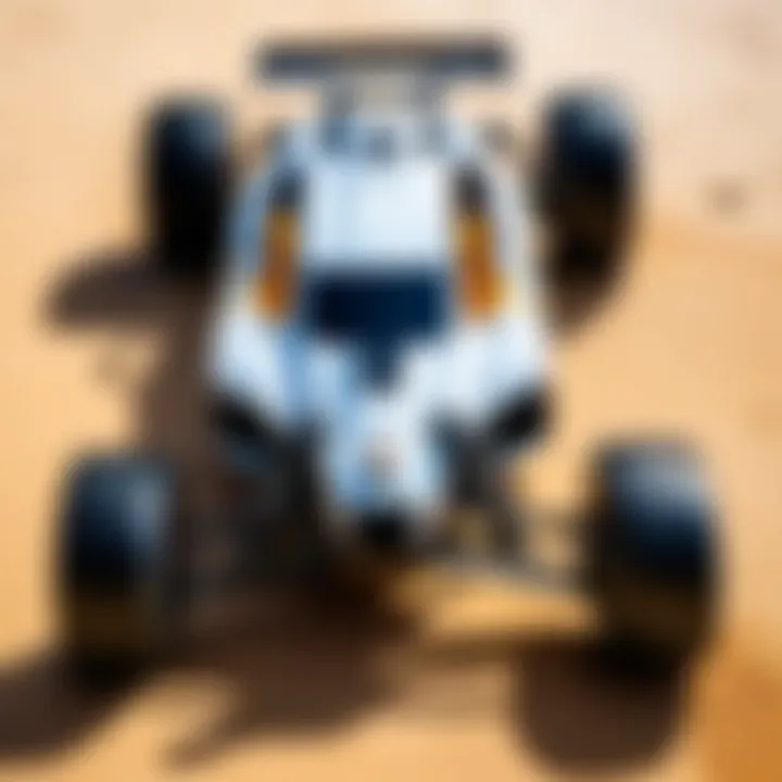 Customized Exceed RC buggy with unique designs and accessories