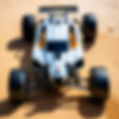 Customization Options for Exceed RC Buggy Customized Exceed RC buggy with unique designs and accessories