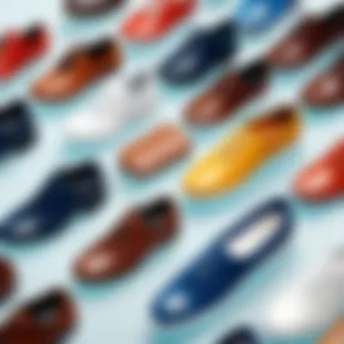 Comparison of Shoe Cases Variety of shoe cases arranged for comparison