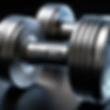 Exploring the 2 Inch Dumbbell Handle: A Comprehensive Guide Summary