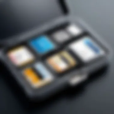 Organized Interior of Memory Card Case Organized interior of a memory card case filled with various cards