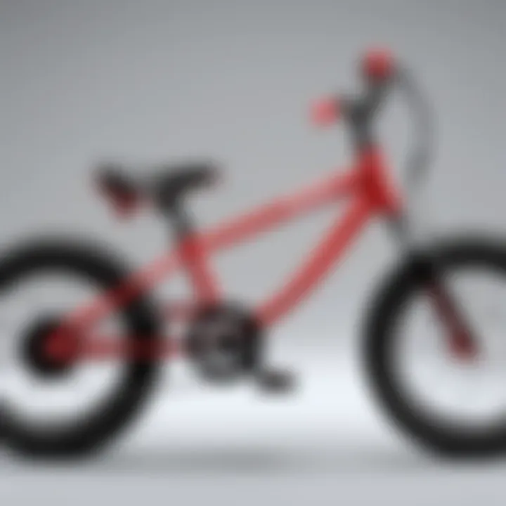 Exploring the Schwinn 12 Inch Balance Bike: A Comprehensive Guide Introduction