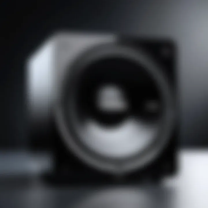 Exploring the Toro 12S Subwoofer: An In-Depth Analysis Introduction