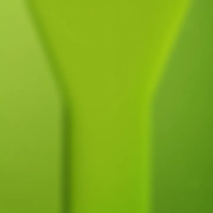 Lime green cardstock utilized in professional design settings