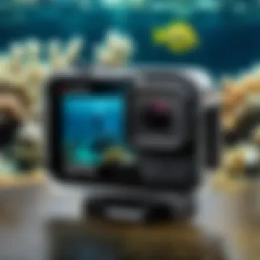 Attaching Filters to Your GoPro Hero 8 Installation of an underwater filter on a GoPro Hero 8