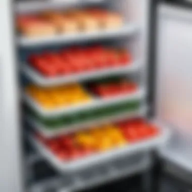 Fresh food items stored in a propane refrigerator, showcasing its efficiency in food preservation outdoors.