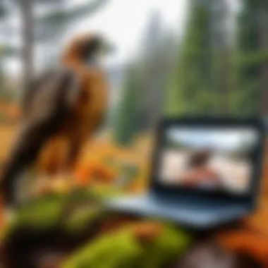 Wildlife Capture by Hawk Eye HD Nature Cam A wildlife scene captured by the Hawk Eye HD Nature Cam, highlighting its performance.