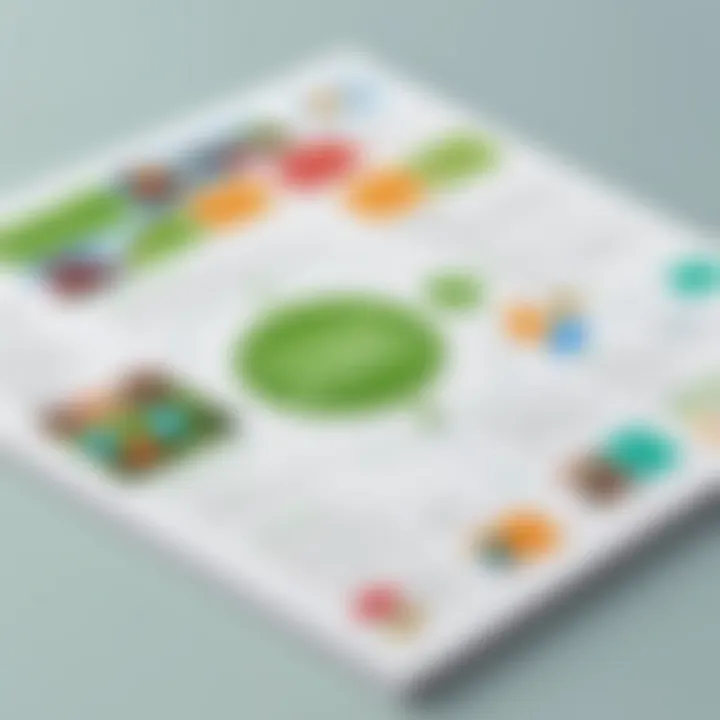 Visual representation of the curriculum offerings at Leapfrog Academy.