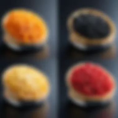 Side-by-side comparison of Ninja Tendercrisp and traditional cooking methods