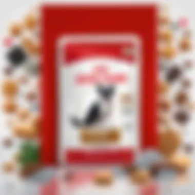 Royal Canin So Dry Options for Specific Breeds A variety of Royal Canin So Dry packages tailored for different pet breeds.
