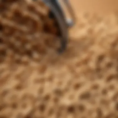 Unique Kibble Texture of Royal Canin So Dry Close-up of Royal Canin So Dry kibbles showcasing their unique shape and texture.