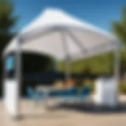 Stylish ShelterLogic table canopy set up at an outdoor event