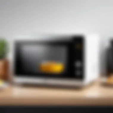 Compact and stylish mini travel microwave