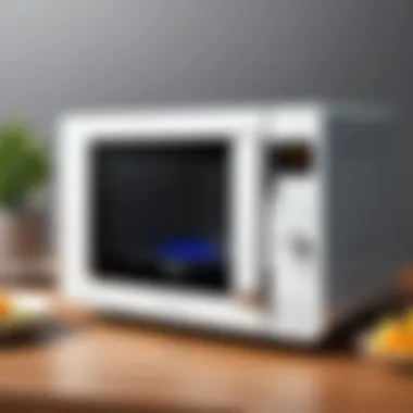 Energy-efficient features of a portable microwave