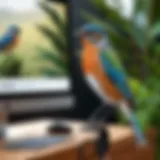 A close-up of a bird perched near a webcam in a natural setting