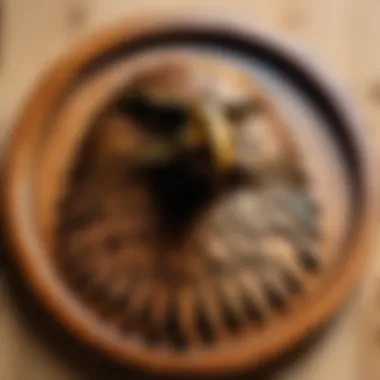 Natural Wood Eagle Wall Plaque Close-up of a wooden eagle wall plaque with natural finish