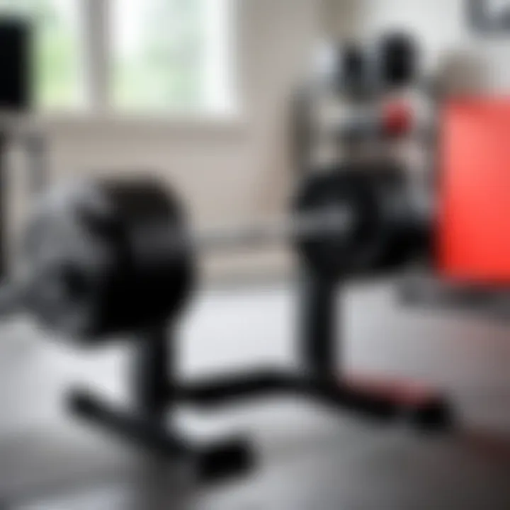 User utilizing Titan Fitness dumbbell holder in a home gym setting.