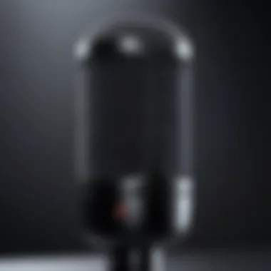 Condenser microphone with a modern design