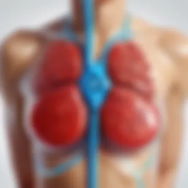 Mechanism of action of Certain Dri Liquid in hyperhidrosis treatment