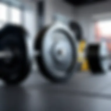 Bumper plates in a gym setting with barbells and weights