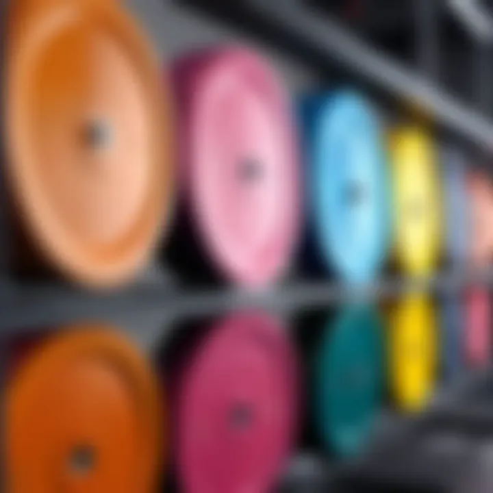 A variety of bumper plates in different colors displayed on a rack