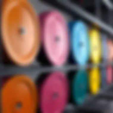 Diverse Colors of Bumper Plates A variety of bumper plates in different colors displayed on a rack
