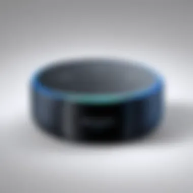 Privacy Features of Echo Dot