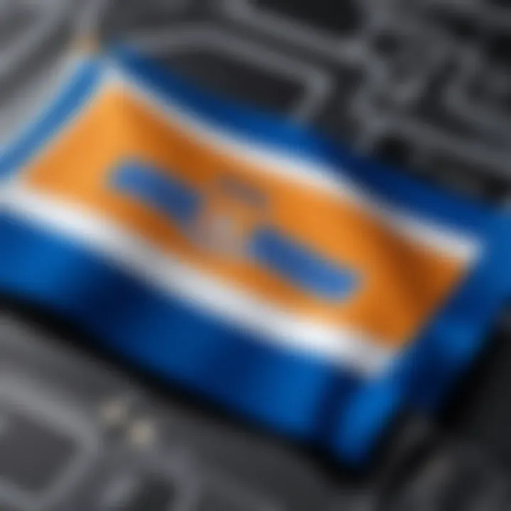 Close-up of the design elements of the UF flag