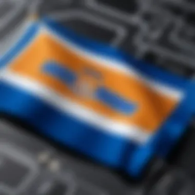 Design Elements of the UF Flag Close-up of the design elements of the UF flag