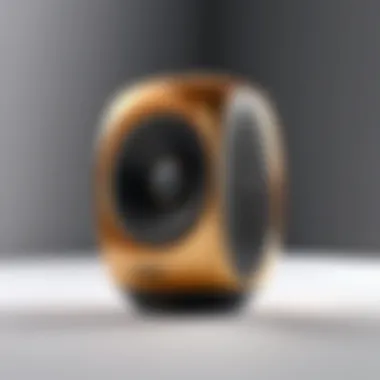 Wonder Boom Speaker showcasing its design